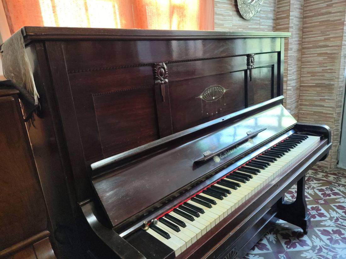 Piano Pitzer Leipzig, vista general