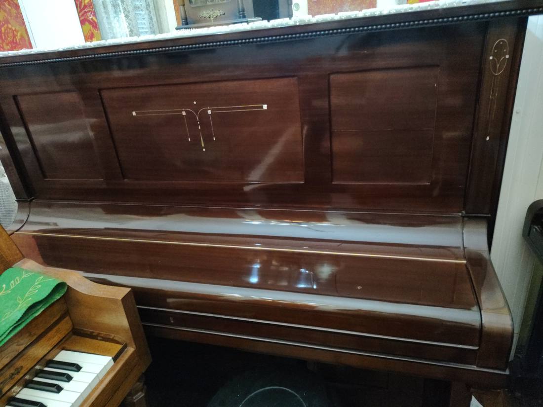 Piano Carl Otto, vista general