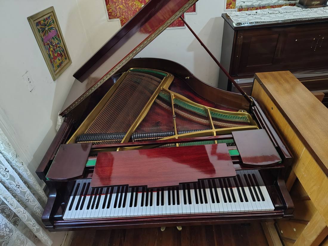 Piano Schulze y Pollmann, detalle